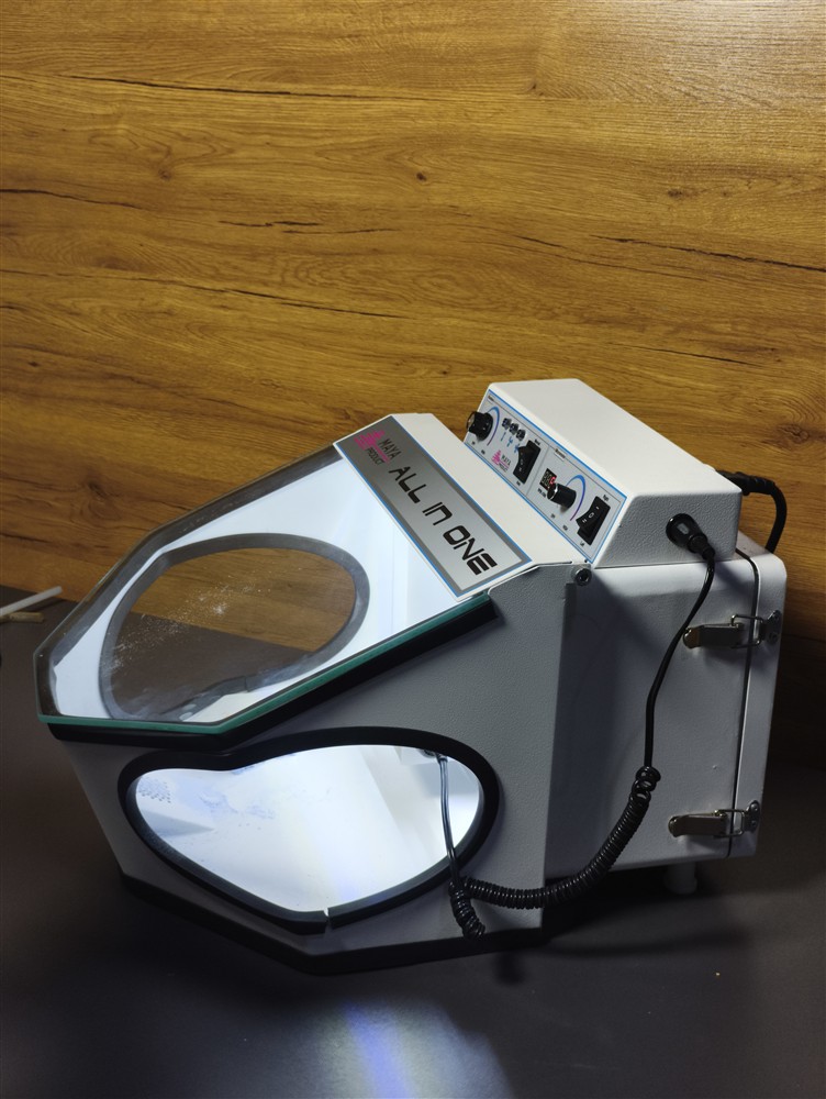 آل این وان مایا